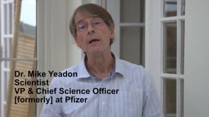 Dr. Michael Yeadon from Pfizer – the pandemic is almost over