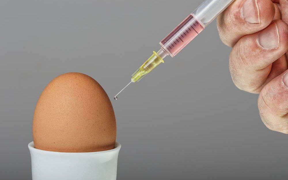 It is the turn of GMO eggs without labeling and without risk assessment