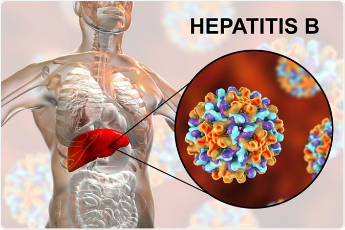Numerous documents show where the growth of hepatitis comes from around the world