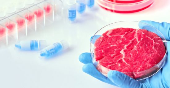 Meat from a lab comes again from killing animals, painful for them